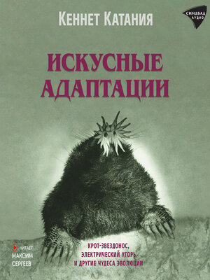 cover image of Искусные адаптации